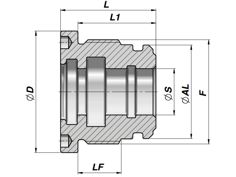 Dławnica M250 CGMM, Średnica tłoka: 100 mm, Tłoczysko: 40 mm